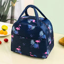 Axyaa Insulated Fashion Lunch Bag with Functional Pattern - Portable Thermal Food Box
