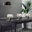 Axyaa Modern Colored Petal Table Lamp for Chic Living Spaces