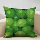 Axyaa Tropical Fruit Cushion Covers for Camper Decor and Dining Chair Pillowcase
