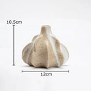 Axyaa Round Ceramic Vase Thorny Desk Decoration Modern Home Floral Arrangement