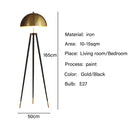 Luxury Postmodern Floor Lamp for Personalized Lighting by Axyaa in Living  Dining  Bedrooms