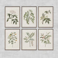 Retro Plant Canvas Print Set for Modern Home Decor by Axyaa
