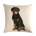 Axyaa Dog Cushion Covers Collection