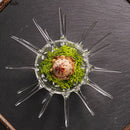 Axya Glass Dessert Bowl Set Irregular Dinner Plate Fruit Salad Ice Cream Dish