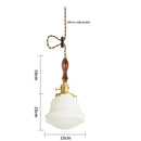 Axyaa Glass LED Pendant Light: Indoor Hanging Lamp Suspension Fixtures