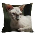 Cute Axyaa Sphinx Cat Cushion Cover 45X45cm - Home Sofa Decoration Pillowcase