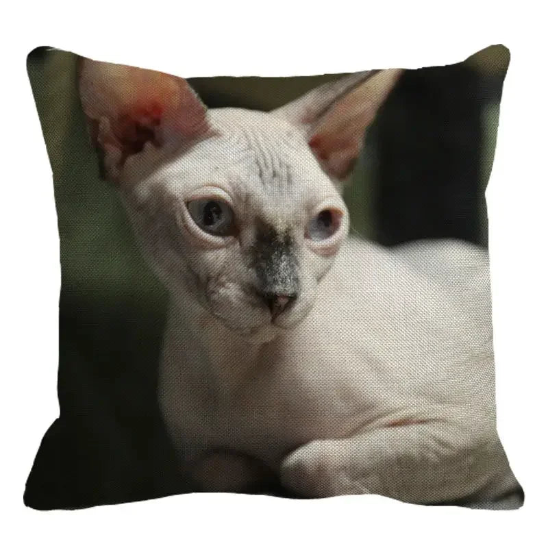 Cute Axyaa Sphinx Cat Cushion Cover 45X45cm - Home Sofa Decoration Pillowcase