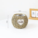 Axyaa Hand-woven Straw Flower Pots | Eco-Friendly Plant Fiber Baskets & Ornaments