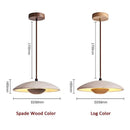 Axyaa Wabi Sabi Stone Pendant Lamps for Japanese Style Apartment Decor