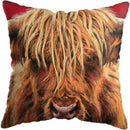 Axyaa Highland Cat Cow Yak Animal Pillowcase for Stylish Home Decor