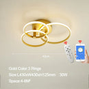 Axyaa LED Ceiling Chandelier Modern Living Room Bedroom Lighting Fixtures