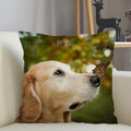 Axyaa Golden Retriever Dog Sofa Pillowcase for home decor