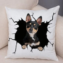 Axyaa Cute Dog Print Pillow Case for Home Decor and Comfort