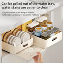 Axyaa Kitchen Sliding Dish Rack Drawer Bowl Storage Shelf with Rail