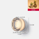 Axyaa Nordic LED Wall Light - 4 Colors, Acrylic Lampshade, Modern Design