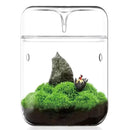 Axyaa Glass Bottle Dew Collection Micro Landscape Glass Vase Terrarium Home Decor