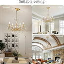Axyaa Gold Crystal Chandelier for Living Room