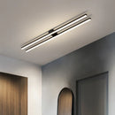 Axyaa Modern LED Ceiling Light Fixture for Indoor Lighting in Hallway, Office, Balcony