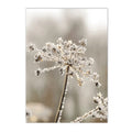 Nordic Elk House Winter Canvas Wall Art by Axyaa