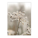 Nordic Elk House Winter Canvas Wall Art by Axyaa