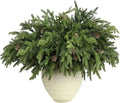Axyaa Christmas Greenery Stems with Pinecones - Soft Bendable Realistic Artificial Pine Branches