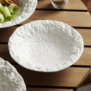Axyaa Ceramic Noodle Bowl Set - High-End Tableware for Restaurant and Home