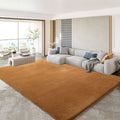 Axyaa Gray Coral Fleece Living Room Rug for Sofa, Coffee Table, Kids Bedroom
