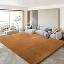 Axyaa Gray Coral Fleece Living Room Rug for Sofa, Coffee Table, Kids Bedroom