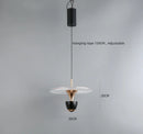 Axyaa Modern Luxury Art Pendant Light LED Chandelier for Home Decoration