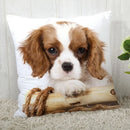 Axyaa Cocker Spaniel Sofa Cushion Cover - Creative and Simple Home Decor