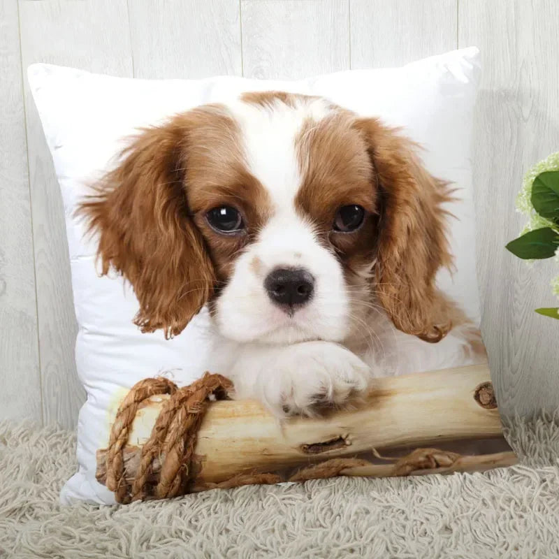 Axyaa Cocker Spaniel Sofa Cushion Cover - Creative and Simple Home Decor