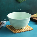 Axyaa 17cm Round Wheat Straw Noodle Bowl - Creative Kitchen Tableware