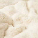 Axyaa Cozy Milk Fleece Blanket | Queen Size Multi-functional Plush Bed Throw