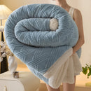 Axyaa Cozy Striped Coral Fleece Blanket for Sofa Bed, Autumn Winter Plush Throw