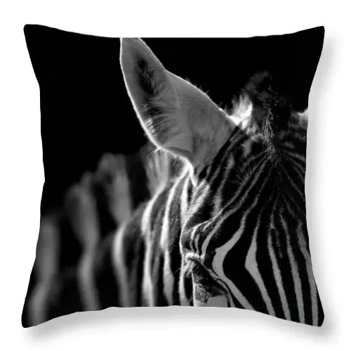 Axyaa Zebra Print Polyester Cushion Cover 45X45cm for Home Decor