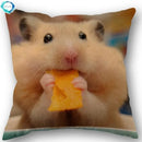 Axyaa Hamster Series Sofa Cushion Cover Pillowcase - Home Party Car Bedding
