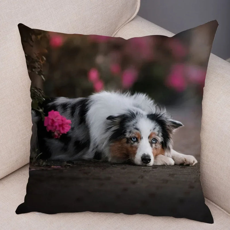 Axyaa Australian Shepherd Pillow Cover - Cute Dog Animal Cushion