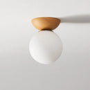 Axyaa Modern LED Ceiling Light Fixture Iron Glass Nordic Lamp.