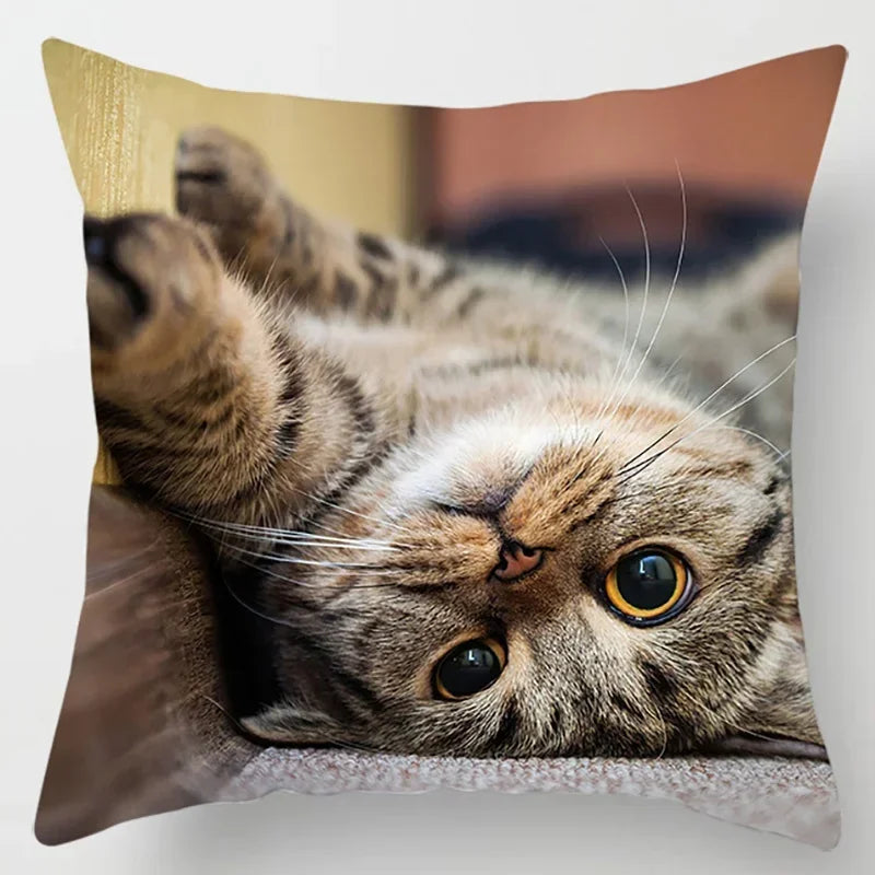 Axyaa Cat Collection Pillowcase - Home & Office Decor Square Pillowcase