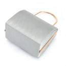 Axyaa Silver Striped Evening Bag Handbag with Chain Crossbody