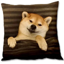 Shiba Inu Cushion Cover by Axyaa: Cute Dog Throw Pillow for Home Decor (45*45cm)