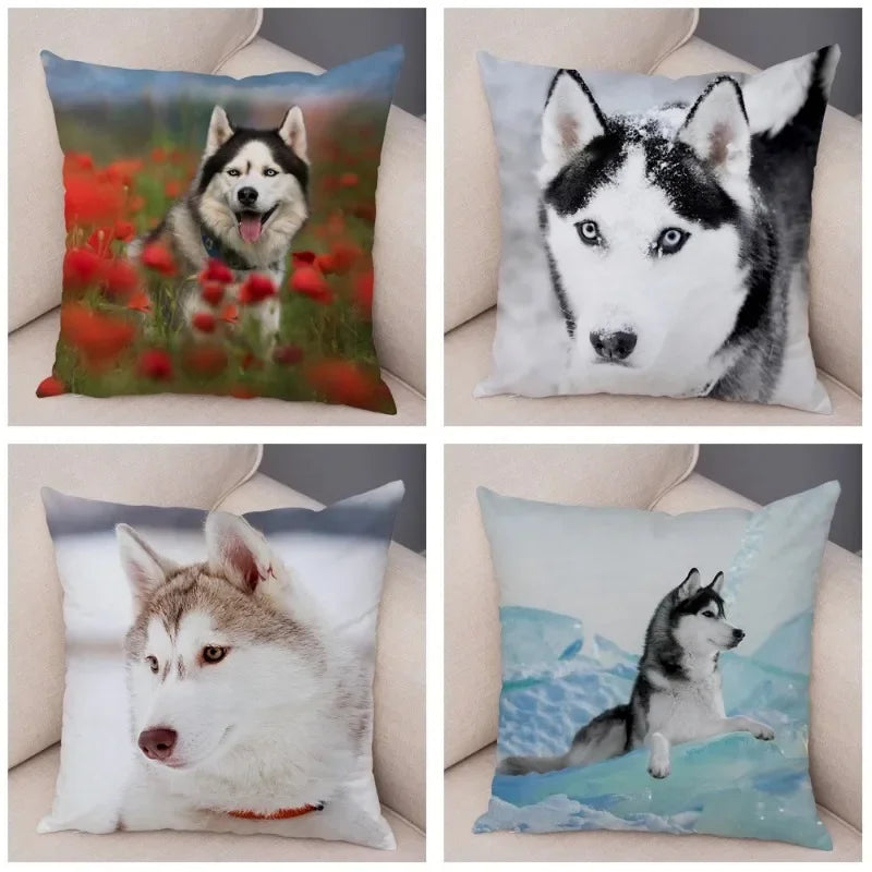 Axyaa Siberian Husky Pet Sofa Cushion Cover - Cute Dog Print Pillowcase Decor