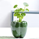 Axyaa Ceramic Persimmon Fruit Flower Pot for Home Decor
