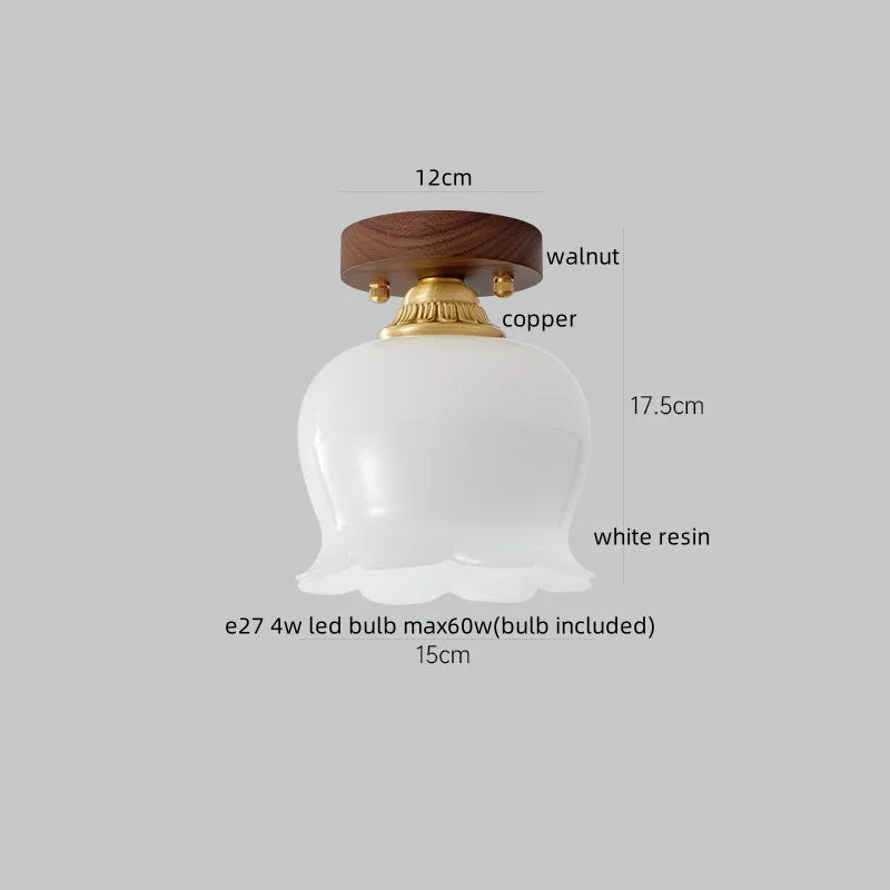 Axyaa Copper Glass LED Ceiling Lamp - Modern Indoor Lighting Fixtures