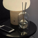 Axyaa Clear Glass Aromatherapy Diffuser Bottle with Reed Sticks & Essential Oil Storage