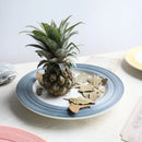 Axyaa Macaron Plate: Brushed Flat Plate for Vegetables, Steak, Pasta, Cake, Breakfast