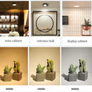 Axyaa 10W Ultra Thin LED Downlight Ceiling Light COB Spotlight for Display Cabinet Wine Cabinet