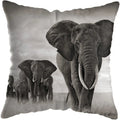 Wild Animals Lions Tigers Cushion Cover - Axyaa Luxury Home Decor
