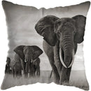 Wild Animals Lions Tigers Cushion Cover - Axyaa Luxury Home Decor