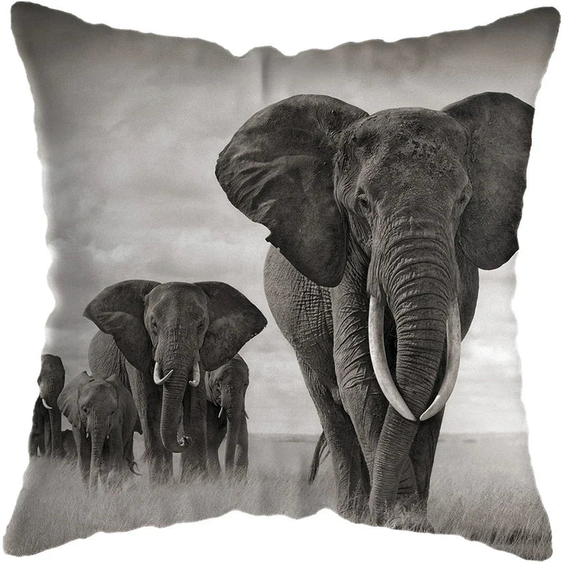 Wild Animals Lions Tigers Cushion Cover - Axyaa Luxury Home Decor